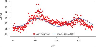 Modelling the Role of Temperature-Induced Environmental Noise on Phytoplankton Niche Dynamics